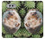 W3863 Pygmy Hedgehog Dwarf Hedgehog Paint Hülle Schutzhülle Taschen und Leder Flip für LG V20