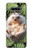 W3863 Pygmy Hedgehog Dwarf Hedgehog Paint Hülle Schutzhülle Taschen und Leder Flip für LG Stylo 6