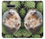 W3863 Pygmy Hedgehog Dwarf Hedgehog Paint Hülle Schutzhülle Taschen und Leder Flip für LG Stylo 6