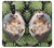 W3863 Pygmy Hedgehog Dwarf Hedgehog Paint Hülle Schutzhülle Taschen und Leder Flip für LG Q Stylo 4, LG Q Stylus