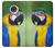 W3888 Macaw Face Bird Hülle Schutzhülle Taschen und Leder Flip für Motorola Moto G7, Moto G7 Plus