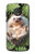 W3863 Pygmy Hedgehog Dwarf Hedgehog Paint Hülle Schutzhülle Taschen und Leder Flip für Motorola Moto G6