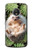 W3863 Pygmy Hedgehog Dwarf Hedgehog Paint Hülle Schutzhülle Taschen und Leder Flip für Motorola Moto G5 Plus