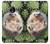 W3863 Pygmy Hedgehog Dwarf Hedgehog Paint Hülle Schutzhülle Taschen und Leder Flip für Motorola Moto G5 Plus