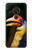 W3876 Colorful Hornbill Hülle Schutzhülle Taschen und Leder Flip für Nokia 7.2