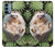 W3863 Pygmy Hedgehog Dwarf Hedgehog Paint Hülle Schutzhülle Taschen und Leder Flip für OnePlus Nord N200 5G