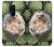 W3863 Pygmy Hedgehog Dwarf Hedgehog Paint Hülle Schutzhülle Taschen und Leder Flip für OnePlus 8 Pro