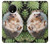 W3863 Pygmy Hedgehog Dwarf Hedgehog Paint Hülle Schutzhülle Taschen und Leder Flip für OnePlus 7T