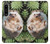W3863 Pygmy Hedgehog Dwarf Hedgehog Paint Hülle Schutzhülle Taschen und Leder Flip für Sony Xperia 1 IV