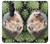 W3863 Pygmy Hedgehog Dwarf Hedgehog Paint Hülle Schutzhülle Taschen und Leder Flip für Sony Xperia Pro-I