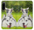 W3795 Kitten Cat Playful Siberian Husky Dog Paint Hülle Schutzhülle Taschen und Leder Flip für Sony Xperia 5 IV