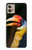 W3876 Colorful Hornbill Hülle Schutzhülle Taschen und Leder Flip für Motorola Moto G32