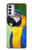 W3888 Macaw Face Bird Hülle Schutzhülle Taschen und Leder Flip für Motorola Moto G42