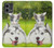 W3795 Kitten Cat Playful Siberian Husky Dog Paint Hülle Schutzhülle Taschen und Leder Flip für Motorola Moto G Stylus 5G (2023)