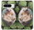 W3863 Pygmy Hedgehog Dwarf Hedgehog Paint Hülle Schutzhülle Taschen und Leder Flip für Google Pixel 8 pro