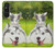 W3795 Kitten Cat Playful Siberian Husky Dog Paint Hülle Schutzhülle Taschen und Leder Flip für Sony Xperia 1 V