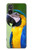 W3888 Macaw Face Bird Hülle Schutzhülle Taschen und Leder Flip für Sony Xperia 5 V