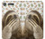 W3559 Sloth Pattern Hülle Schutzhülle Taschen und Leder Flip für Sony Xperia XZ1