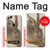 W3781 Albrecht Durer Young Hare Hülle Schutzhülle Taschen und Leder Flip für Google Pixel 2