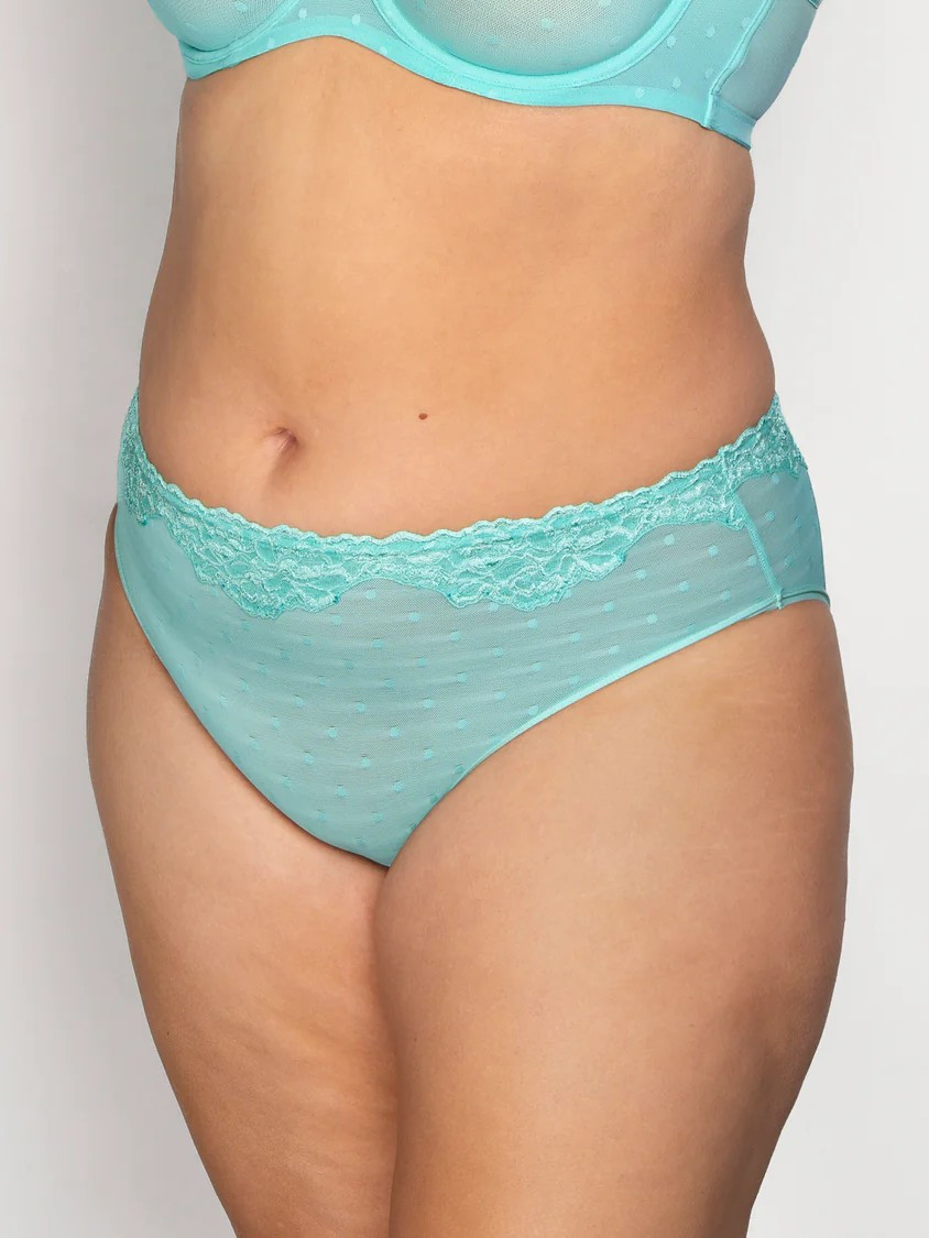 Curvy Couture SHEER WHISPER HIGH CUT BRIEF 1608