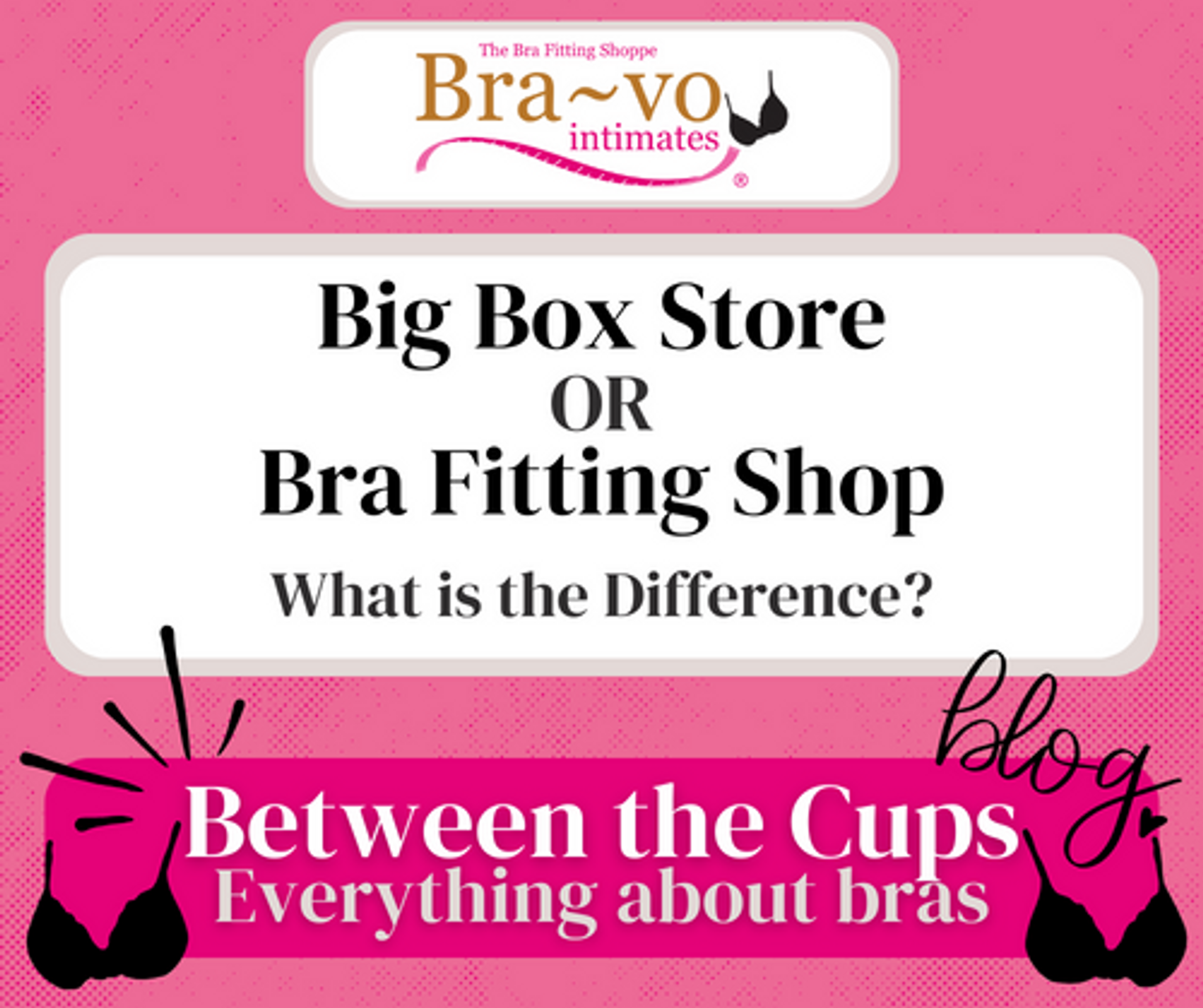 Bra Shopping: The Difference between shopping at Big Box store and a Bra Fitting Shop.