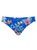 Panache OLIVIA CLASSIC SWIM BRIEF SW1726E