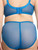 Dita Von Teese ROSEWYN HI CUT BRIEF D21044