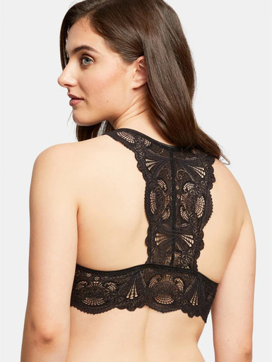 Luxe Lace Wire Free Bralette – Bravo Bra Boutique