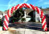AeroPole Arch Complete Kit (1 count)