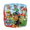 18"A Paw Patrol Pkg (5 count)