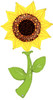 60"S Sunflower Fresh Picks (1 count)