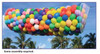 Balloon Drop Net Boss 2000 (1 count)