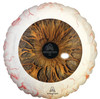 18"A Eyeball Blue and Brown Pkg (5 count)