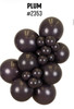 5"K Plum Purple Standard (100 count)