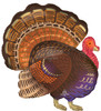 32"A Thankful Turkey Pkg (5 count)