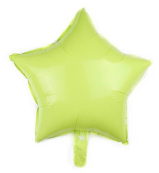 18"I Star Pastel Green flat (10 count)