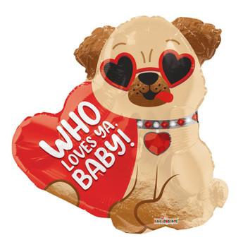 18"C Who Loves You Baby Dog with Glasses Pkg (10 COUNT)