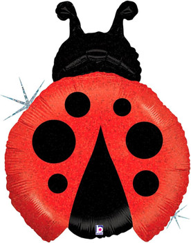 27"S Ladybug Holo Pkg (1 COUNT)