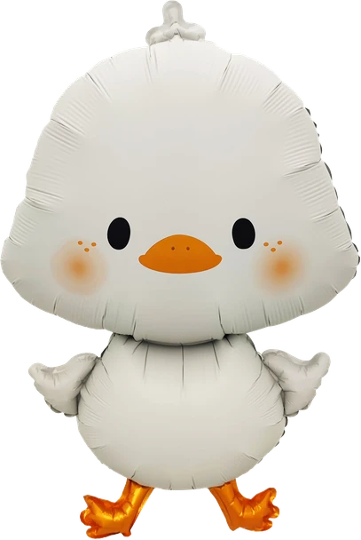 21"B Cartoon Duck Body Pkg (5 count)