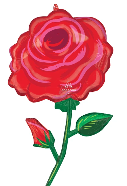 38"A Flower Rose Radiance Pkg (5 count)