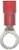 Marinco/Ancor Marine 12-10 #1/4 Nylon Ring Terminal - Ancor (220224)