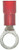 Marinco/Ancor Marine 12-10 #5/16 Nylon. Ring Terminal - Ancor (220225)