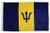Lippert Components Inc Barbatos Flag 12X18 Nylon (93073)