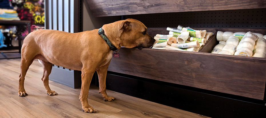 How to Boost Pet Product Sales with Eye-Catching Displays