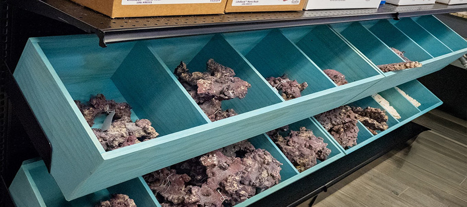 Aquatics by Nature Makes a Splash with CavaCase Max