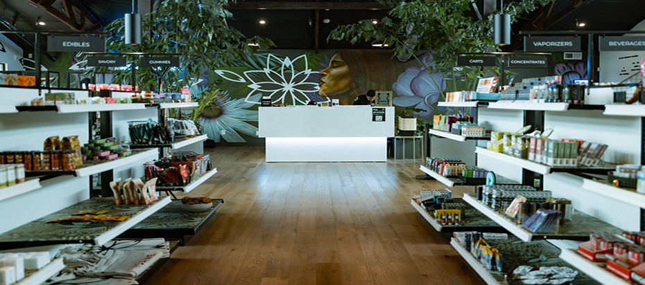 A Look Inside Jane Dispensary’s Santa Rosa Store