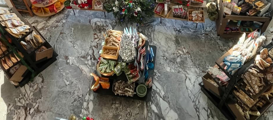 Paw-sitively Brilliant: Inside the Shop That’s Nailing Pet Retail