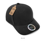 IV169-Cap
