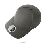 IV173-Cap