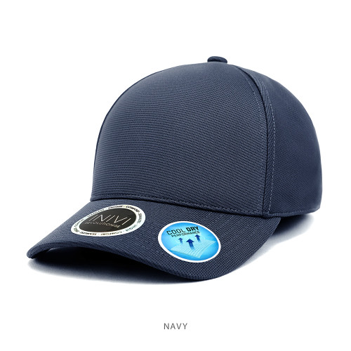 IV170-Cap